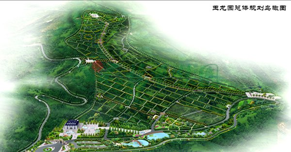 1-22020Q12122N1 首页-人生就是博