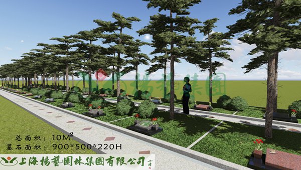 1-22020Q34029208 首页-人生就是博
