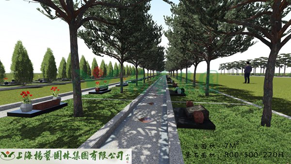 1-22020Q34044560 首页-人生就是博