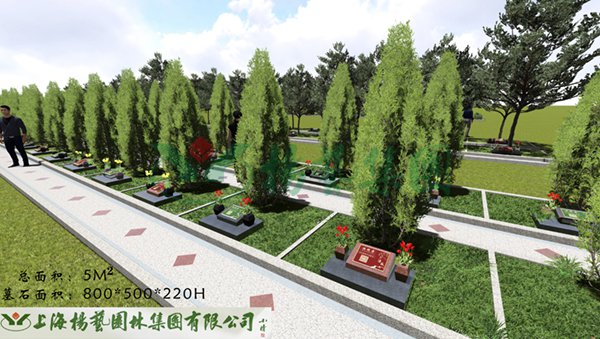 1-22020Q34102648 首页-人生就是博