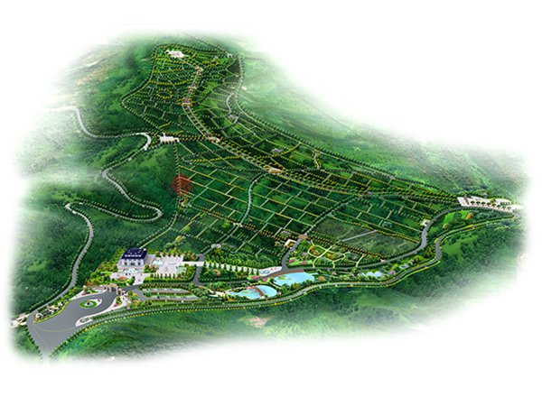 首页-人生就是博