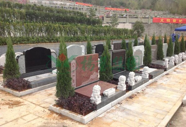 首页-人生就是博