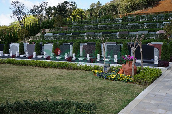 首页-人生就是博