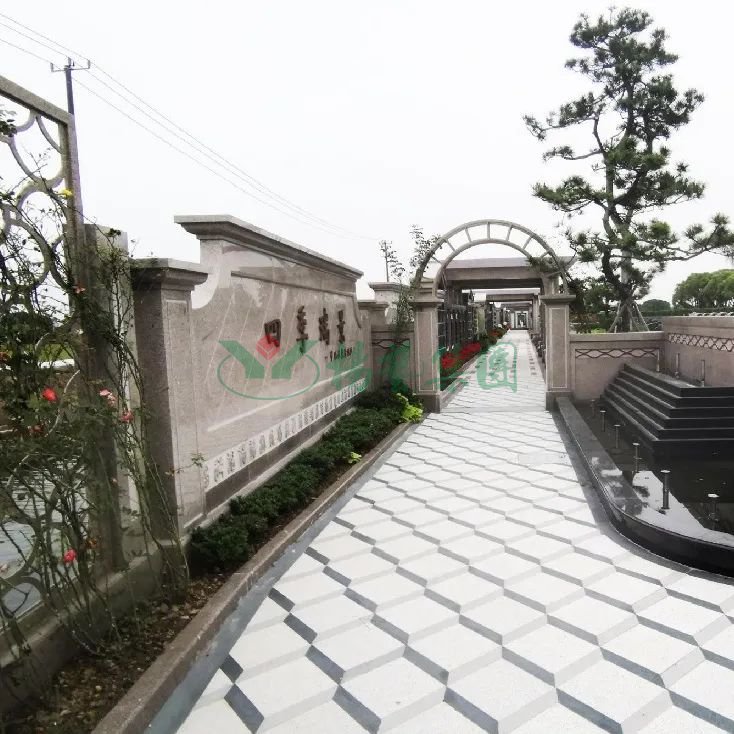 首页-人生就是博