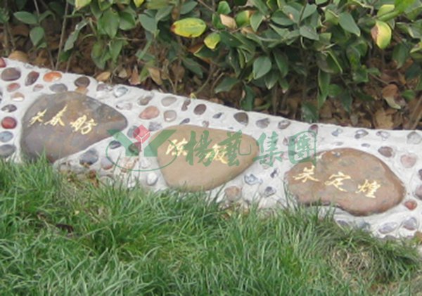 1-2202221530334C 首页-人生就是博