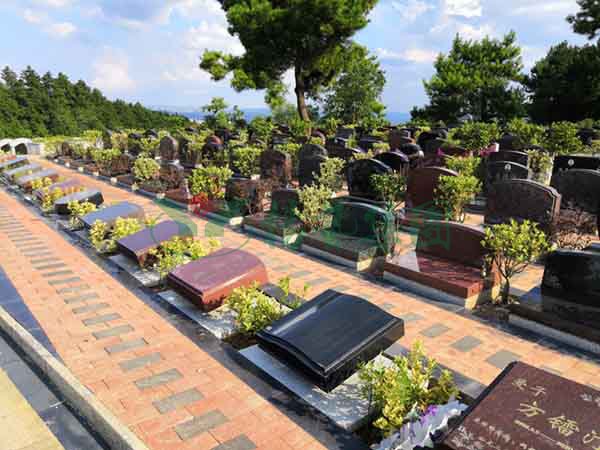 首页-人生就是博