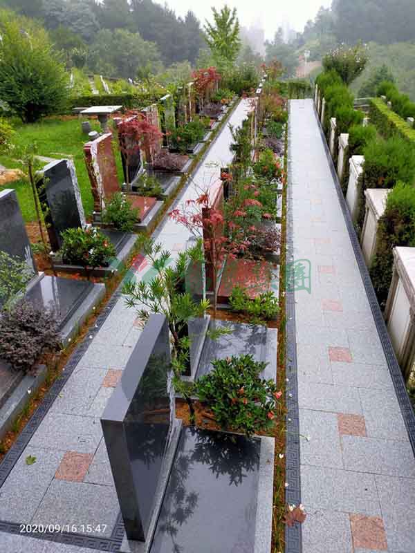 首页-人生就是博