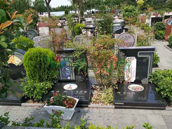 首页-人生就是博