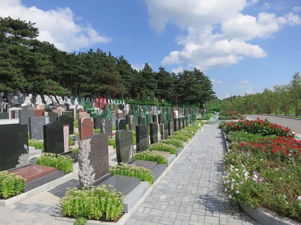 首页-人生就是博