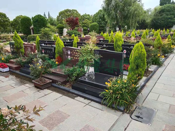 首页-人生就是博