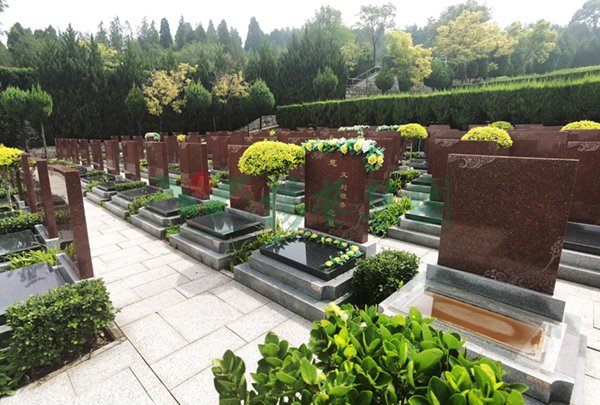 首页-人生就是博