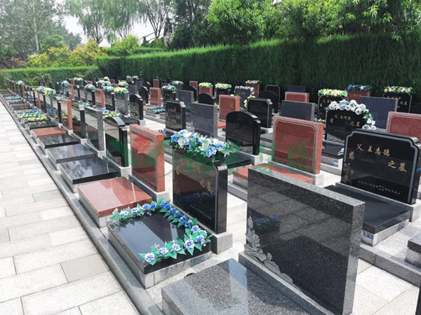 首页-人生就是博