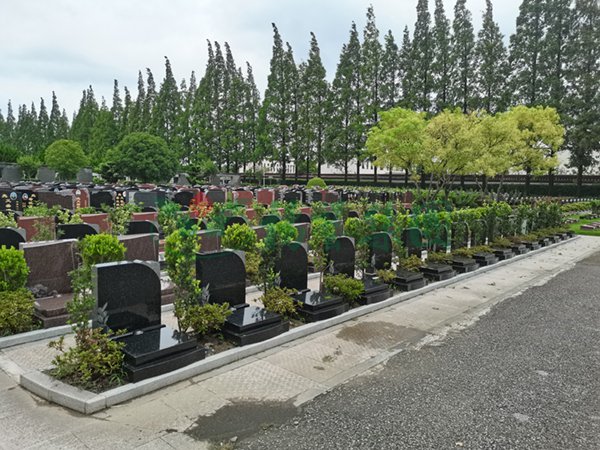 首页-人生就是博