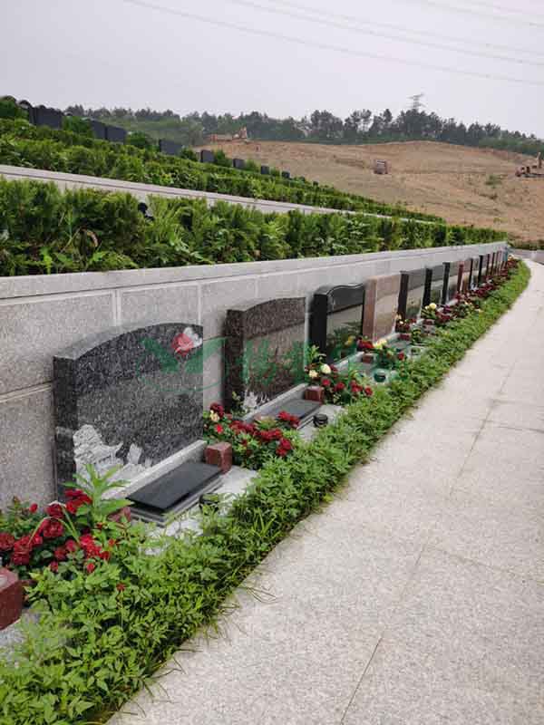 首页-人生就是博