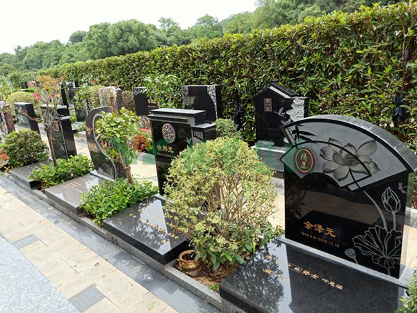 首页-人生就是博