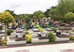 上；；懔靶腔鹎