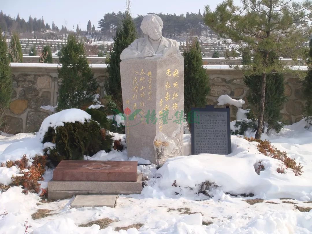 首页-人生就是博