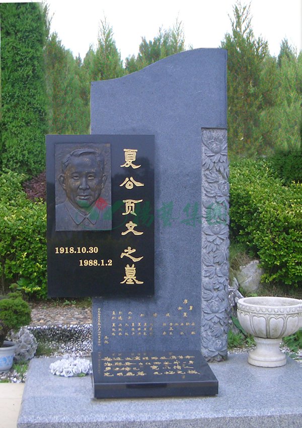 首页-人生就是博