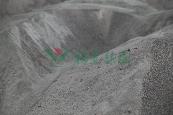 首页-人生就是博