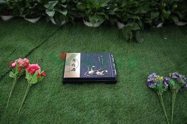 首页-人生就是博