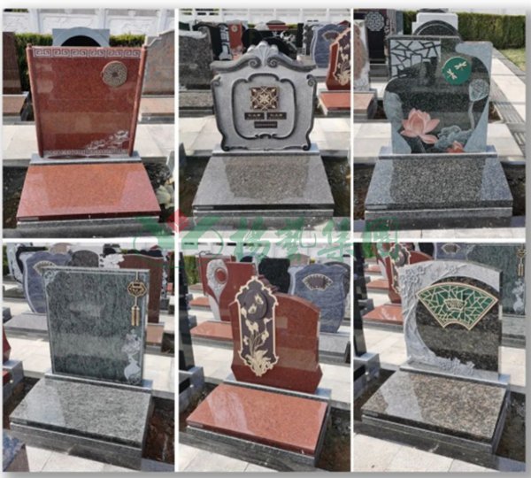 首页-人生就是博