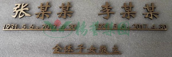 首页-人生就是博