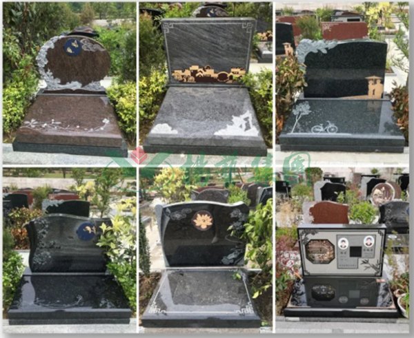 首页-人生就是博