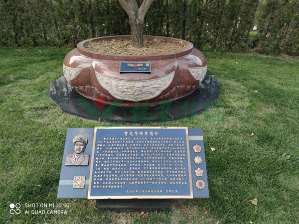 首页-人生就是博