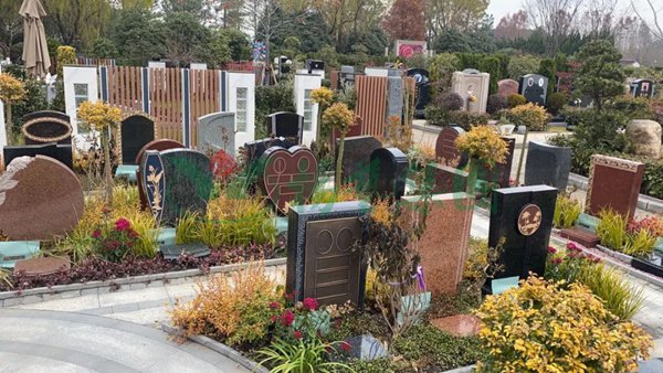 首页-人生就是博