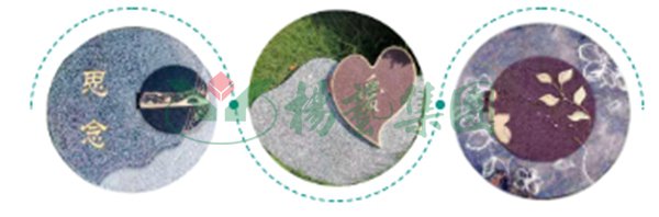 首页-人生就是博