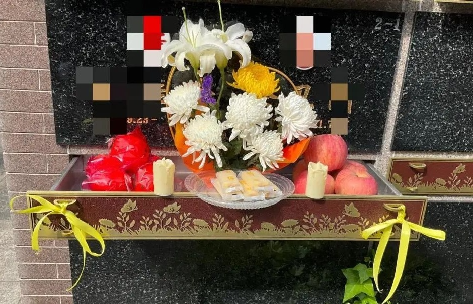 首页-人生就是博