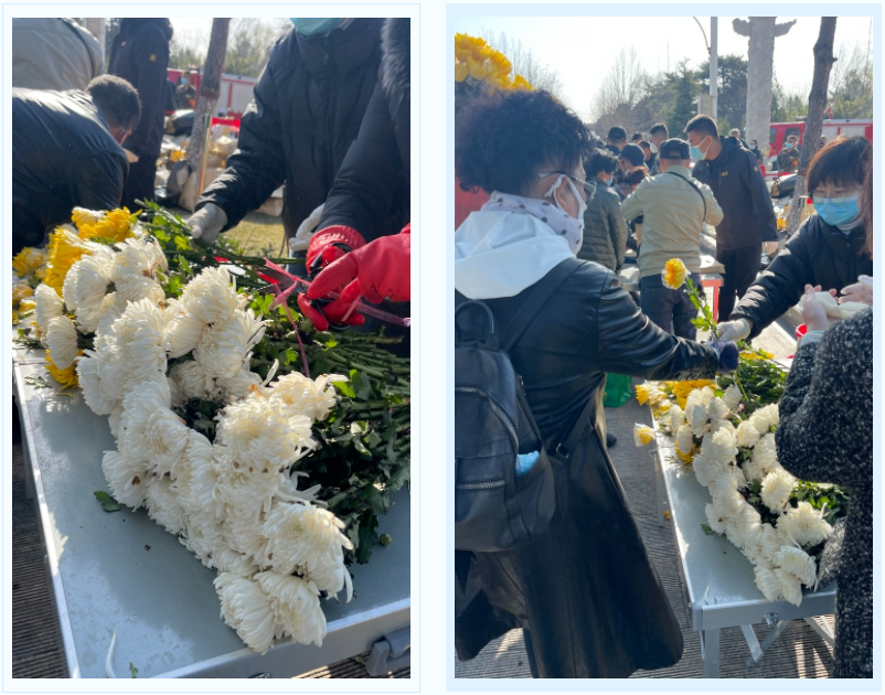 首页-人生就是博