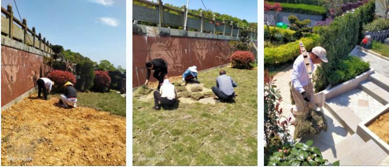 首页-人生就是博