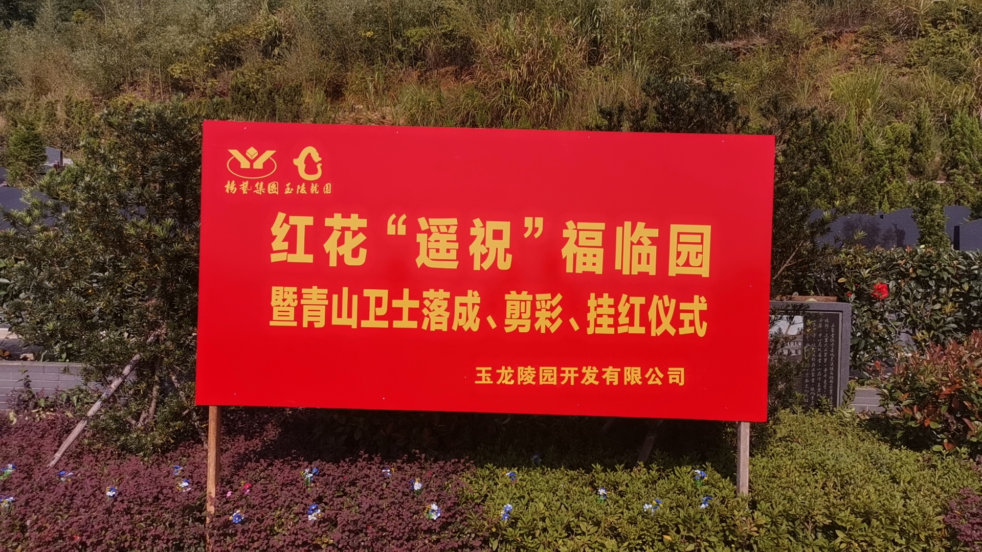 红花传爱意，，，，，，情满玉龙园！