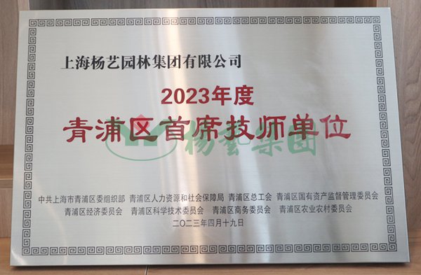 首页-人生就是博