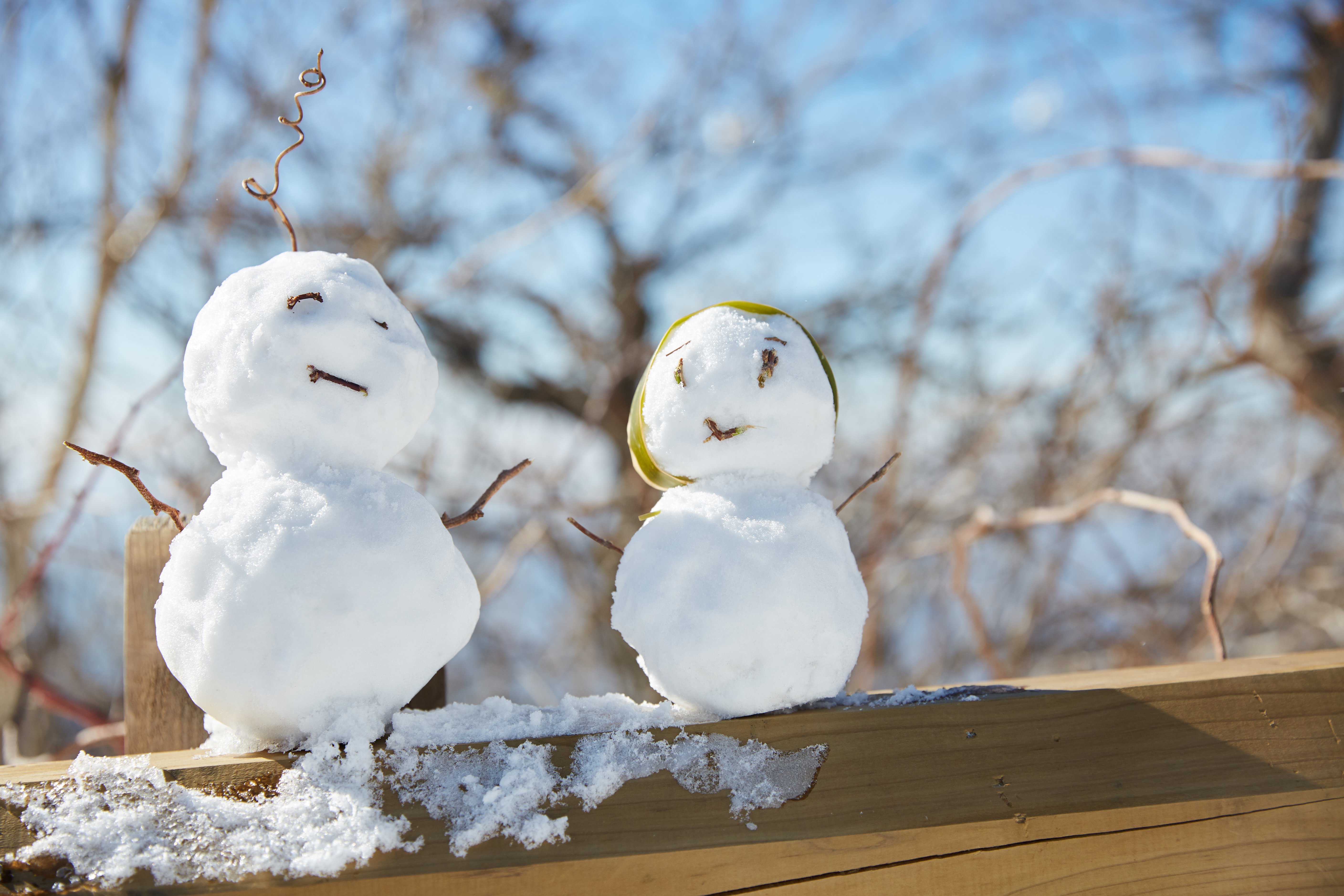 冬至，，，，，暖“杨”相伴 | 人生就是博人全力配合各墓园冬至落葬