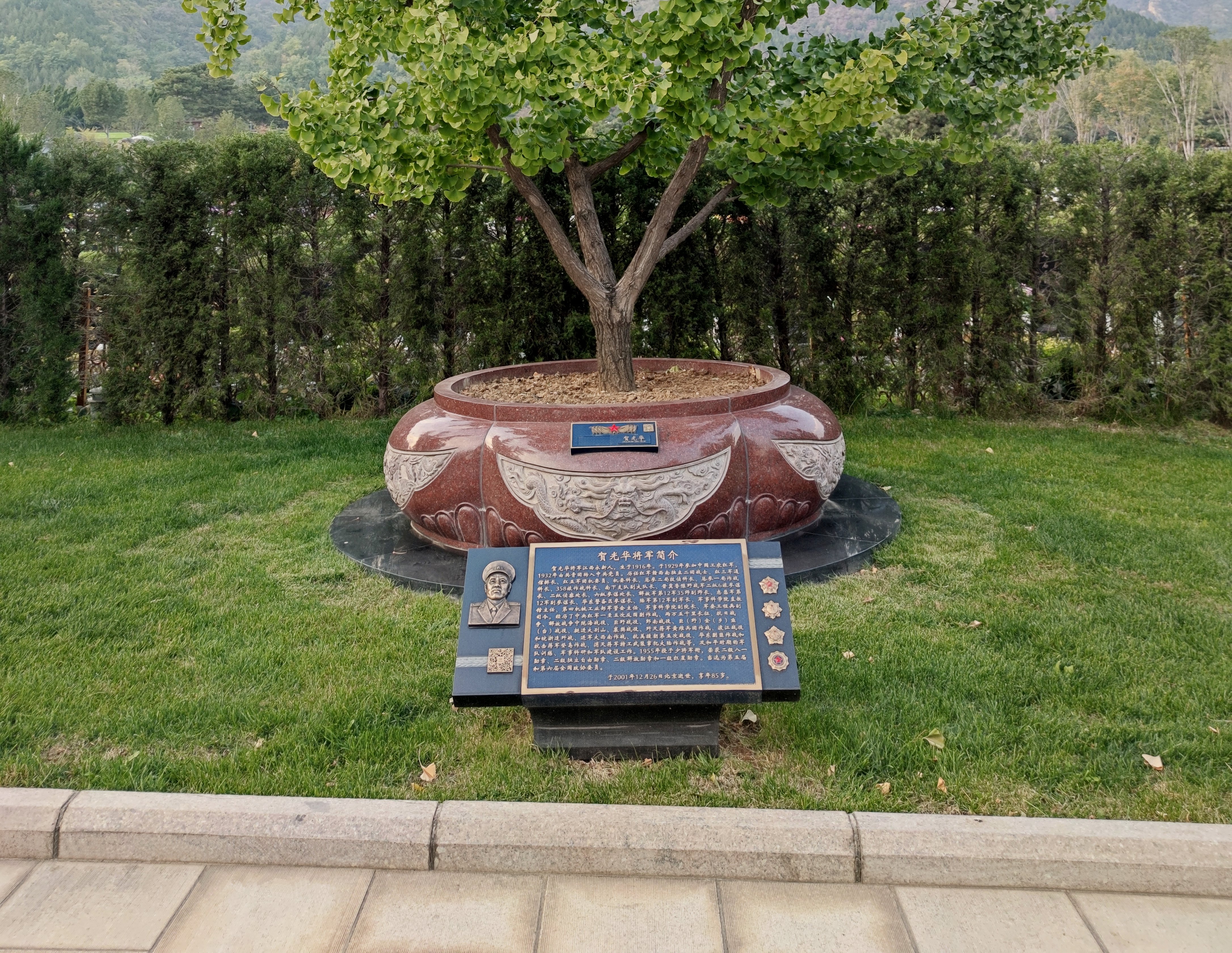 贺光华将军歇息之地：九龙坛树葬