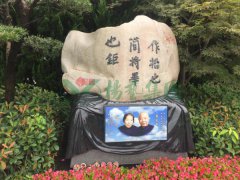 裴先白