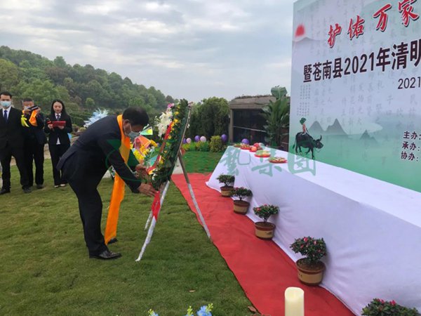 首页-人生就是博