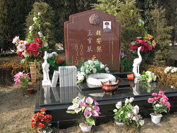 首页-人生就是博