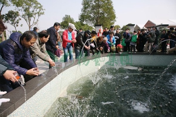 首页-人生就是博