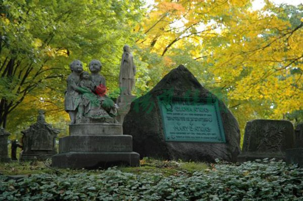 首页-人生就是博