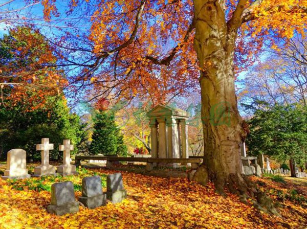 首页-人生就是博