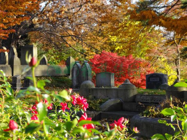 首页-人生就是博