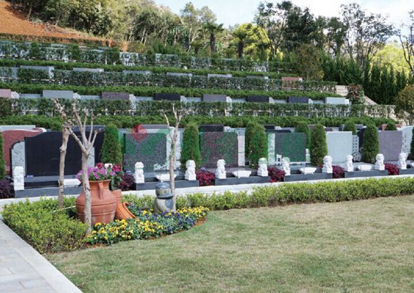 首页-人生就是博