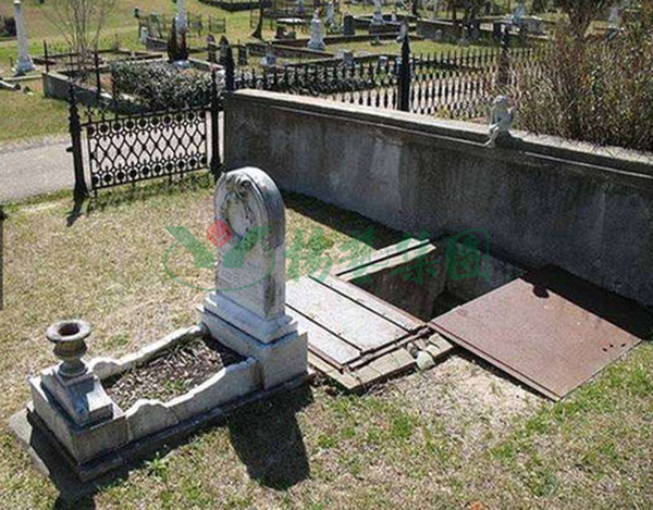 首页-人生就是博