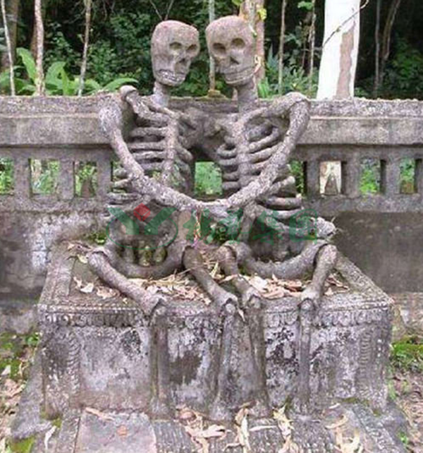 首页-人生就是博