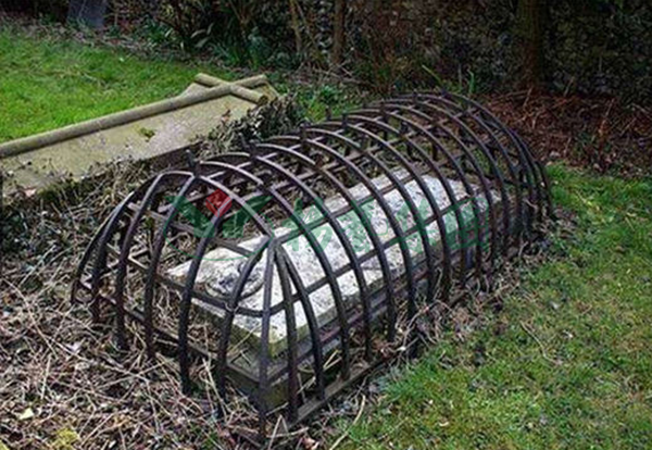 首页-人生就是博