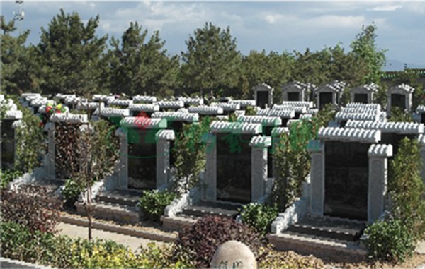 首页-人生就是博