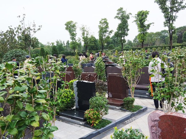 首页-人生就是博